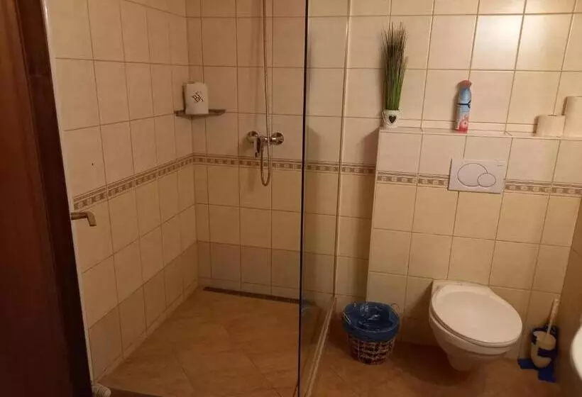 اتاق استاندارد سه نفره, Blum Pince   Borozó Vendégház