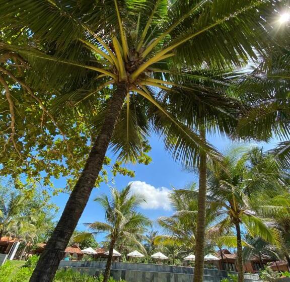 带海景标准四人间, Thanh Kieu Beach Resort