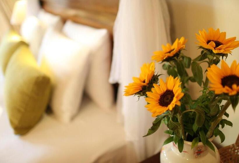 标准房带园景, Thanh Kieu Beach Resort