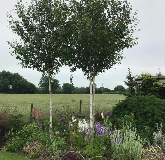 スタンダードルーム, Fair View