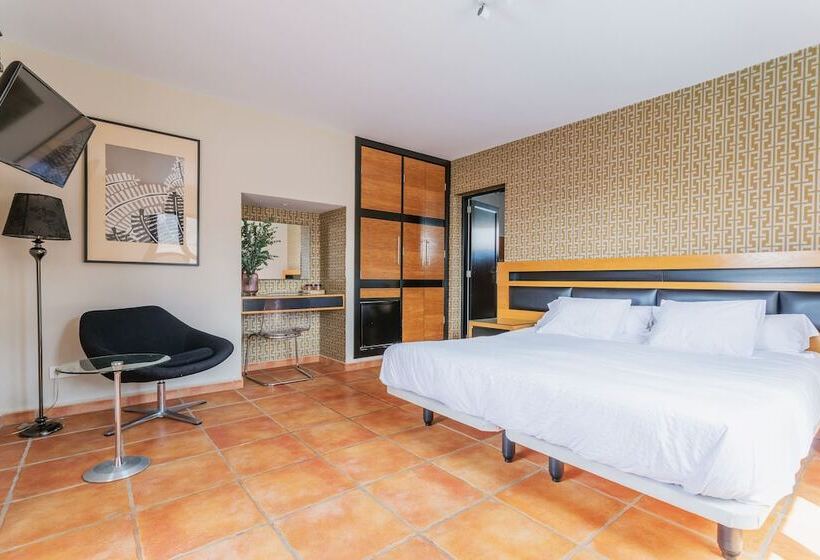 스탠다드 룸 풀장 전망, El Hotelito Del Golfo