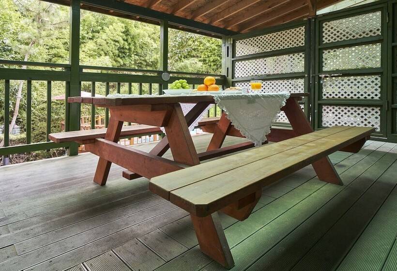 Номер Стандарт, Bellus Rose Pension