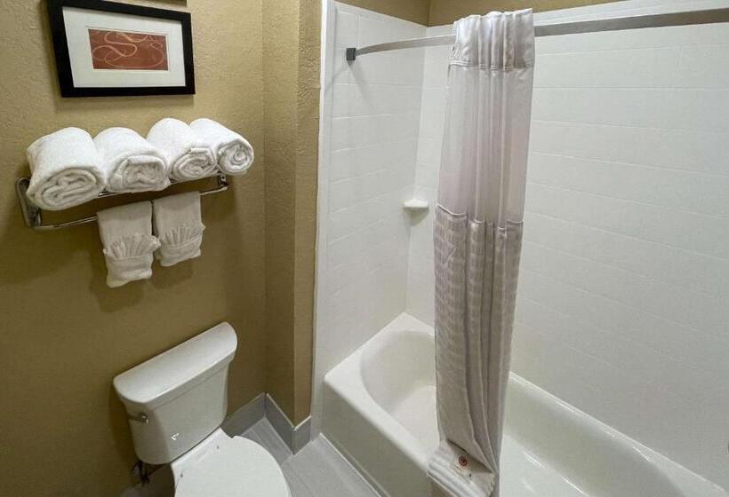 מיטת קינג בסוויטה, Comfort Suites Near Seaworld