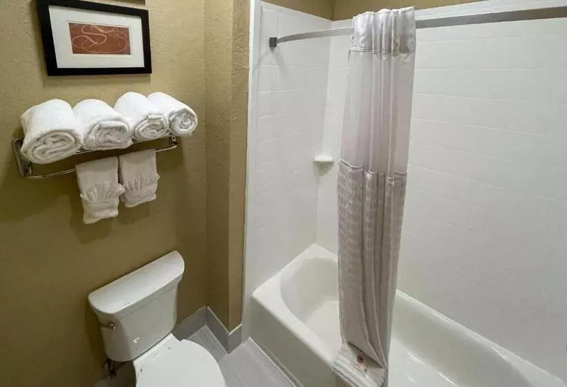 キングサイズベッドのスイートルーム, Comfort Suites Near Seaworld