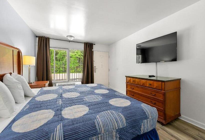 带大床的豪华间, Budgetel Inn And Suites