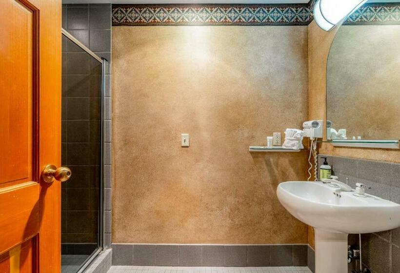 آپارتمان 1 خوابه, Shoshone 1972