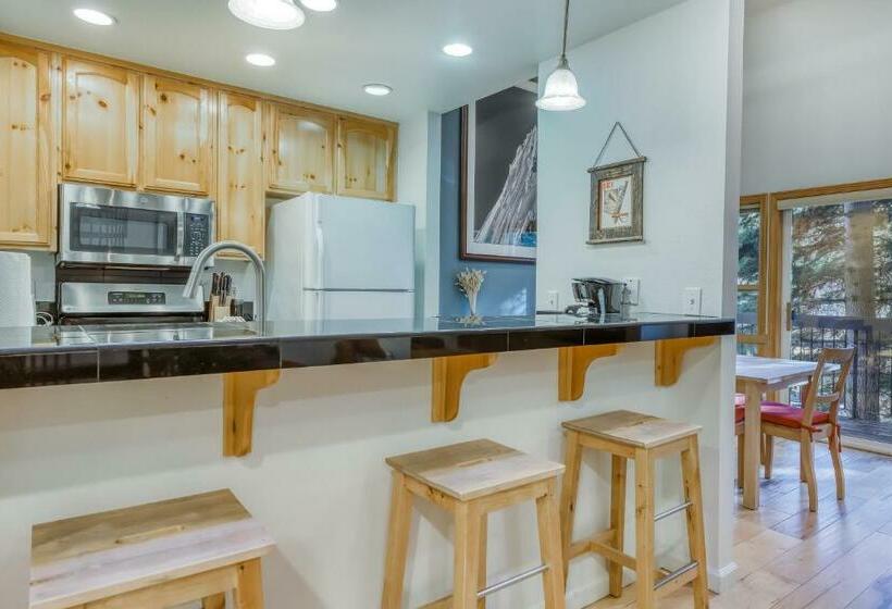 آپارتمان 2 خوابه, Squaw Valley Ski Flat