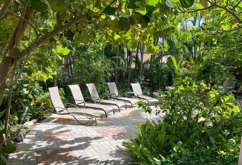 ２ベッドルームアパートメント, Bella Vista Studio