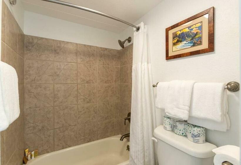 آپارتمان 1 خوابه, Paki Maui 202a