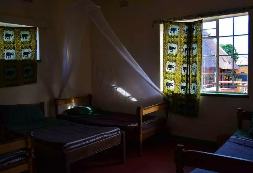 تختخواب در اتاق مشترک, Zinga Backpackers