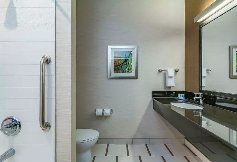 Standard-huone, Fairfield Inn & Suites By Marriott Elkhart