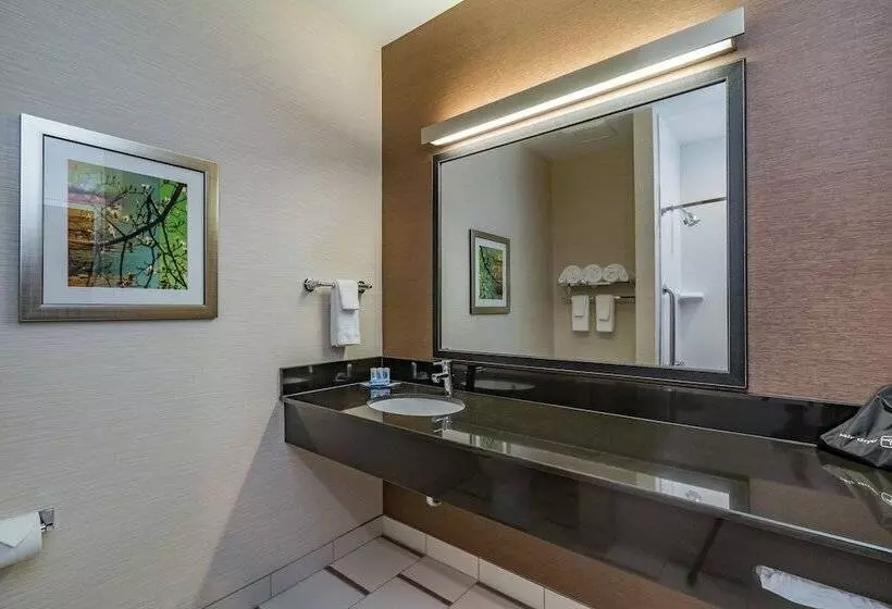 Sviitti, Fairfield Inn & Suites By Marriott Elkhart