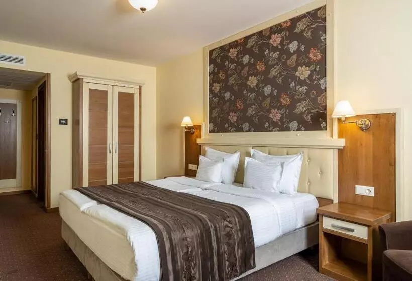 Standard Room, Leul De Aur