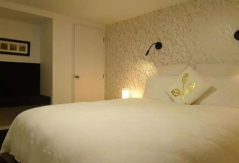 Executive-huoneisto 1 Makuuhuone, Lugano Motor Lodge