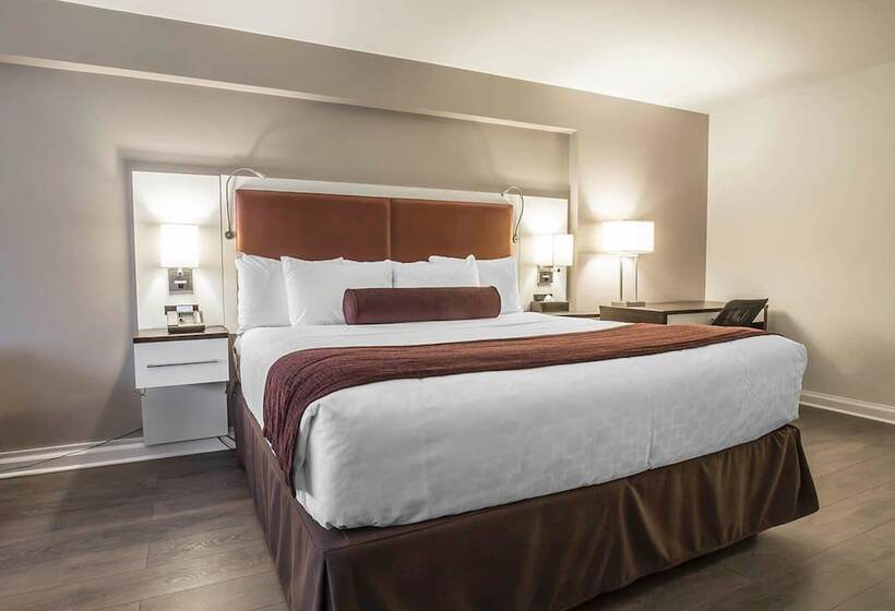 חדר סטנדרט, The Saint James Hotel, Ascend Hotel Collection