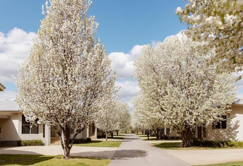 וילה בת 2 חדרי שינה, Tindarra Resort