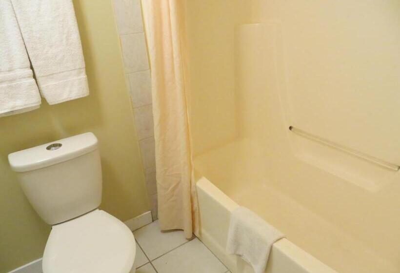 חדר סטנדרט, Nice Inn Edmonton