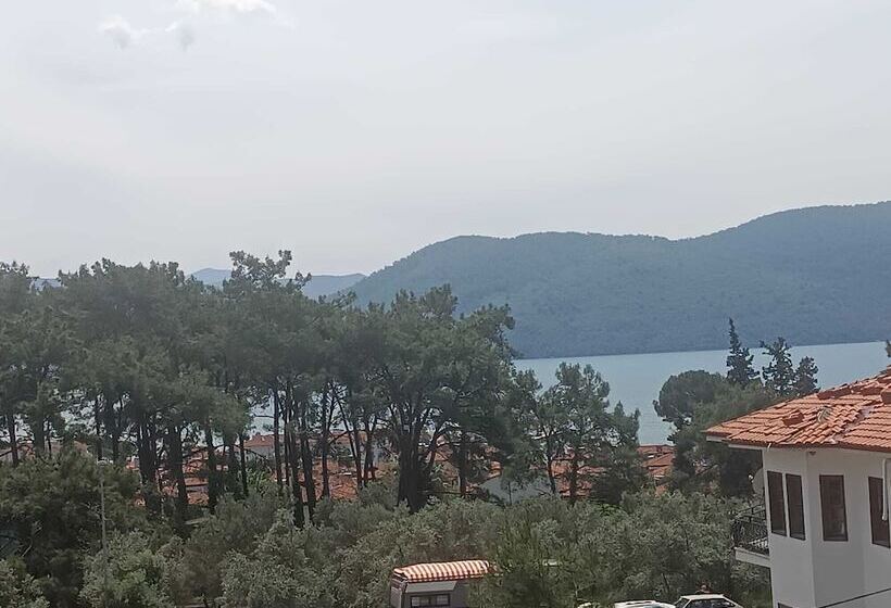 חדר סטנדרט, Summer Otel