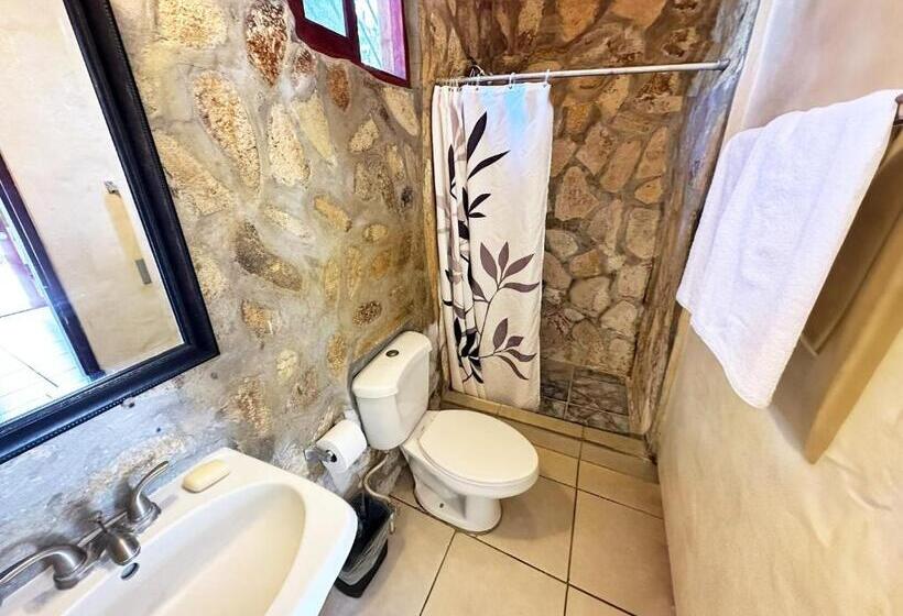 اتاق استاندارد, Surf Ranch Hotel & Resort