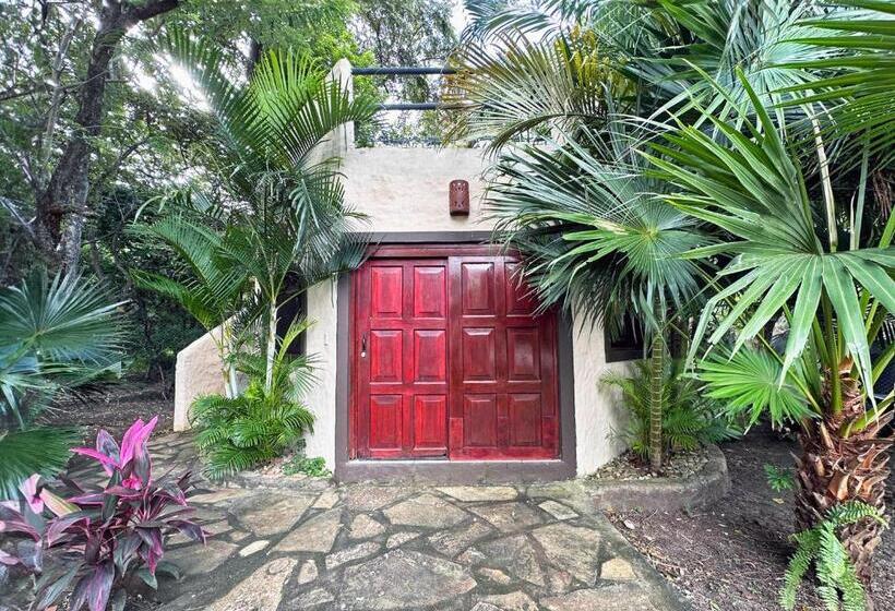 بانگلوی استاندارد, Surf Ranch Hotel & Resort