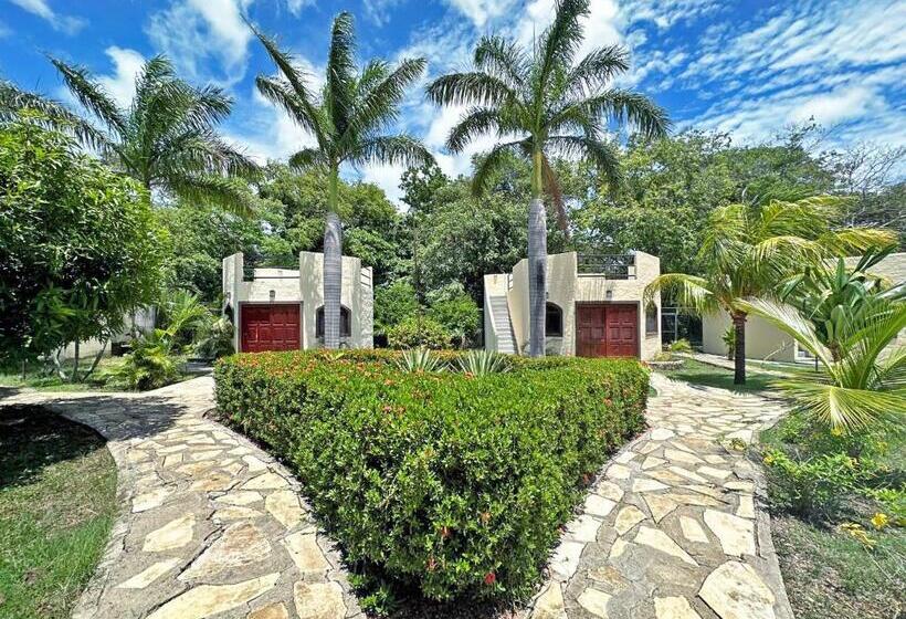 ویلای 1 خوابه با چشم‌انداز باغ, Surf Ranch Hotel & Resort