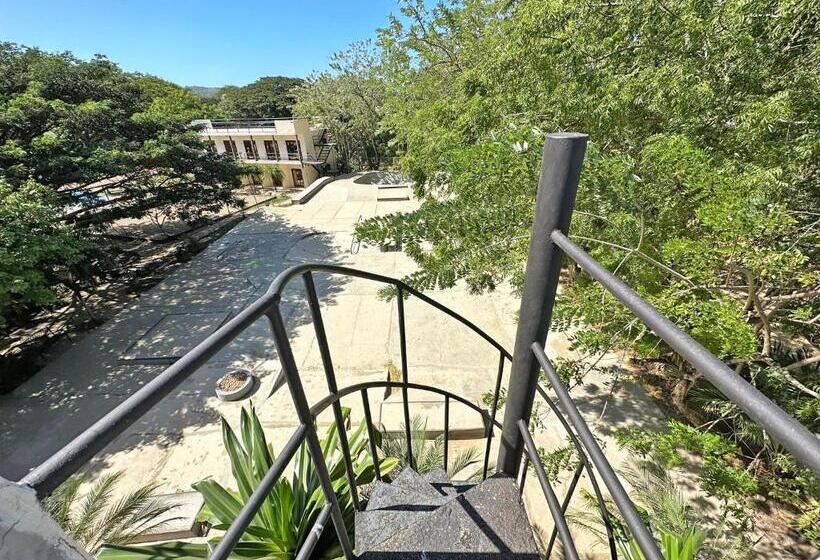 استودیوی لوکس, Surf Ranch Hotel & Resort