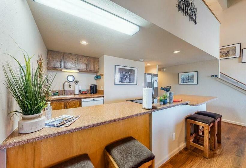 带1个卧室的公寓, Aspen Loft