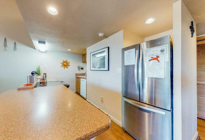 带1个卧室的公寓, Aspen Loft