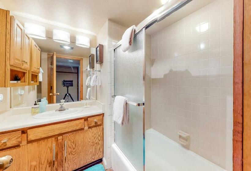 带1个卧室的公寓, Aspen Loft