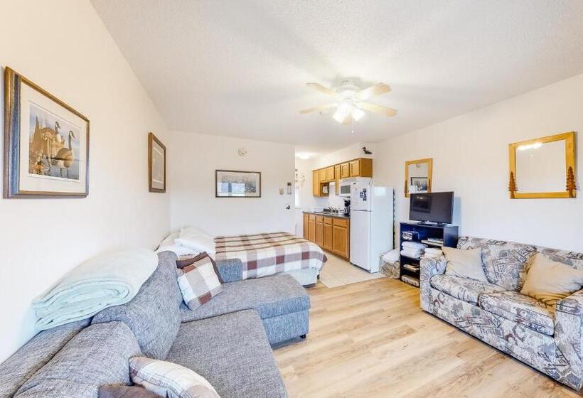 إستوديو قياسى, Loon Nest