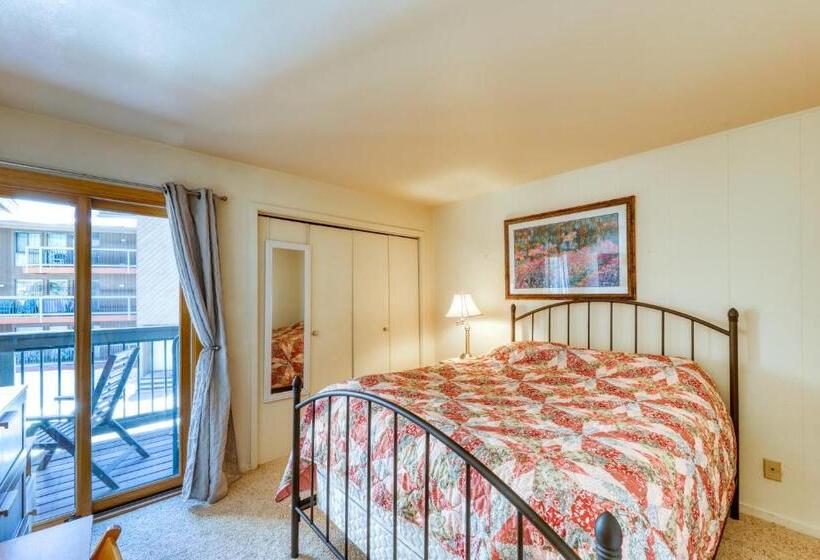 آپارتمان 2 خوابه, Wild Irishman 1080