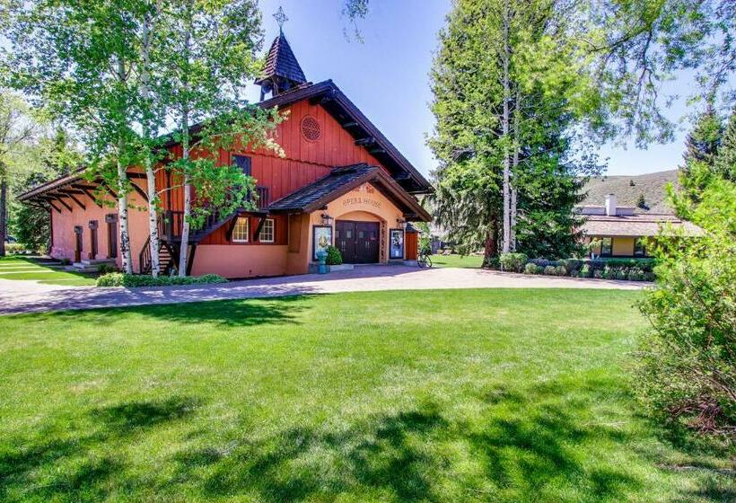 شقة 3 غرف, Among The Wildflowers