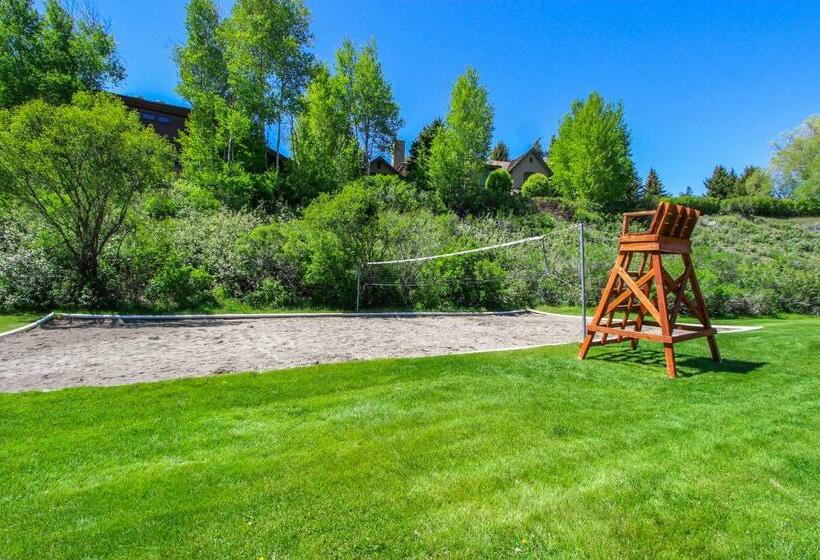 شقة 3 غرف, Among The Wildflowers