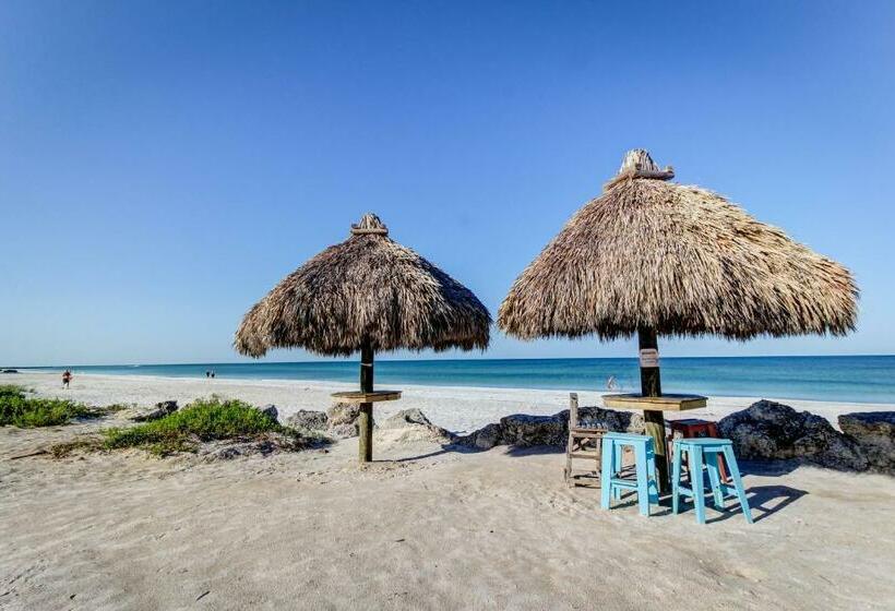 شقة غرفة واحدة, Highland Avenue Heaven