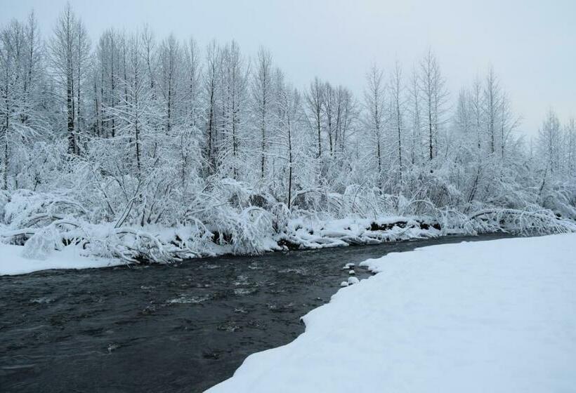 شقة غرفة واحدة, Skiview #103