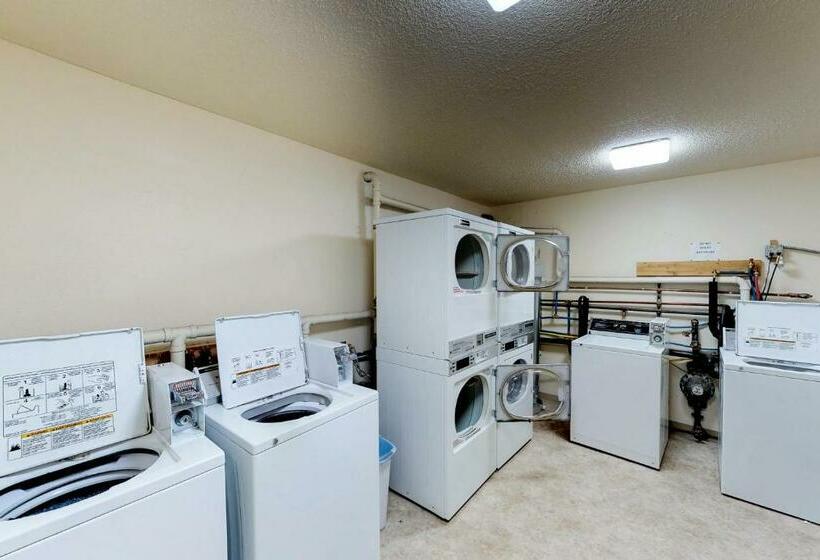 شقة غرفة واحدة, Skiview #103