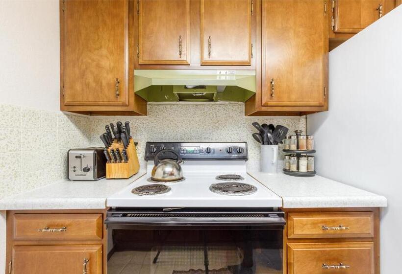 شقة غرفة واحدة, Skiview #103