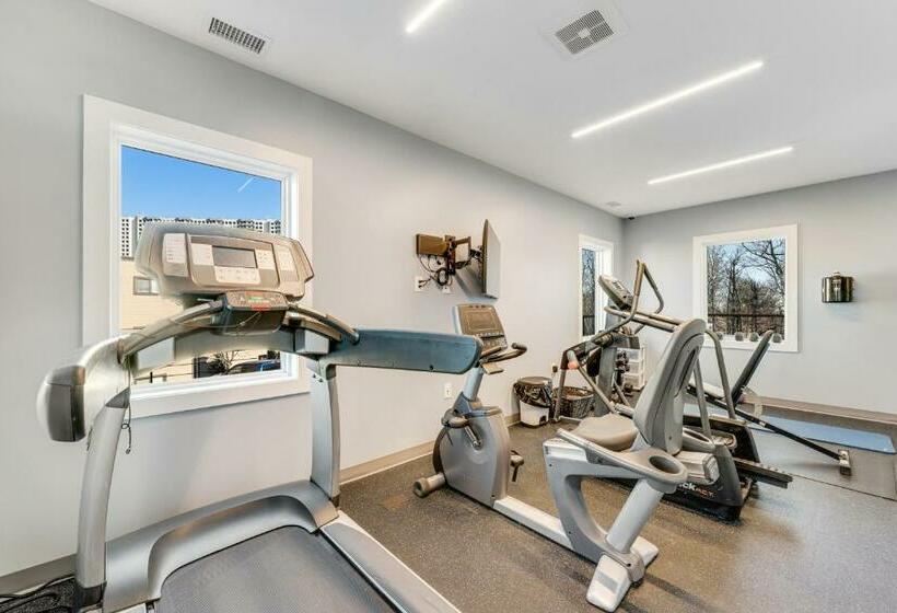 スタンダードスタジオ, Sugar Ski 11 202