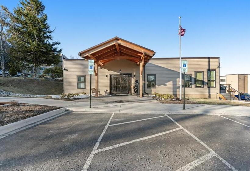 スタンダードスタジオ, Sugar Ski 11 202