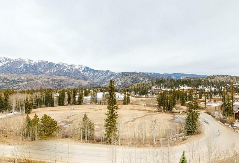 דירת שני חדרים, Ali S View