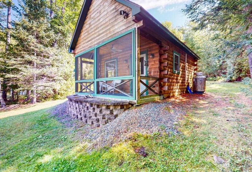 Студия Стандарт, Lenas  Lakeside Cabin