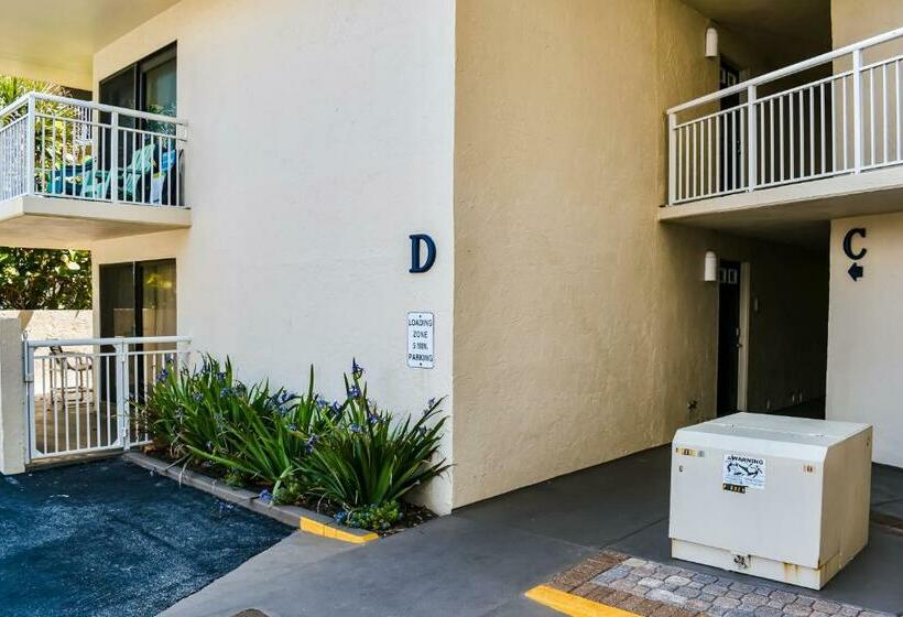 شقة غرفة واحدة, Salty Mermaid