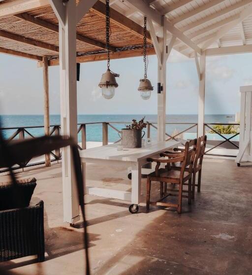 سوییت با چشمانداز دریا, Bijblauw