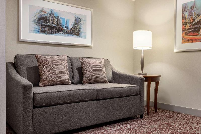 اتاق استاندارد با تخت بزرگ, Hilton Garden Inn Louisville Downtown