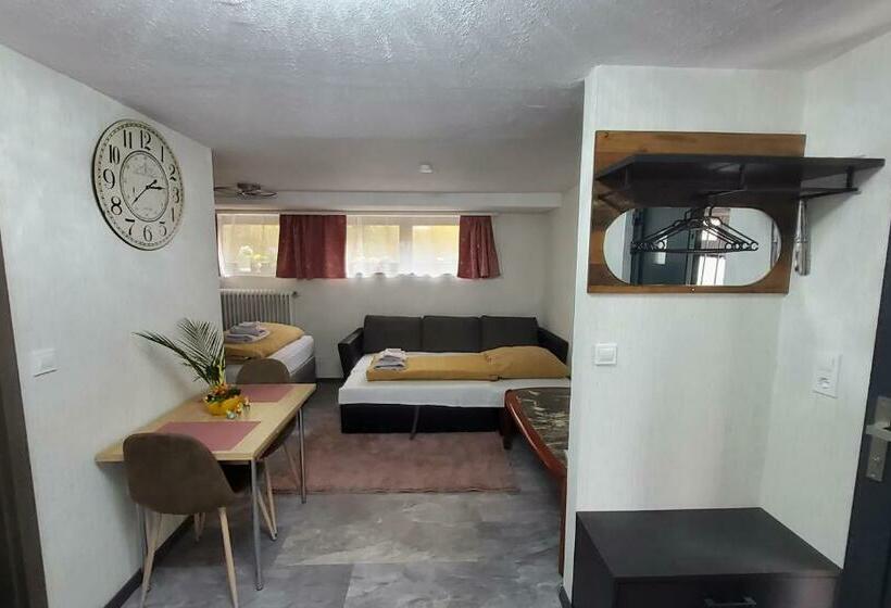 غرفة قياسية, Brodovskiy  Apartment