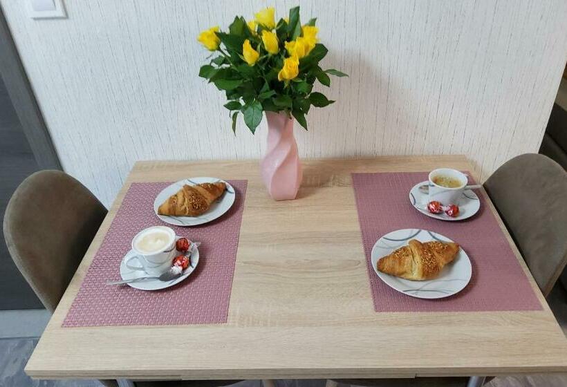 غرفة قياسية, Brodovskiy  Apartment