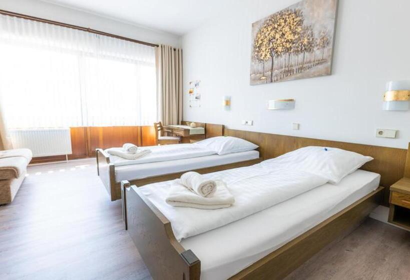 غرفة ديلوكس, Lava Vulkaneifel