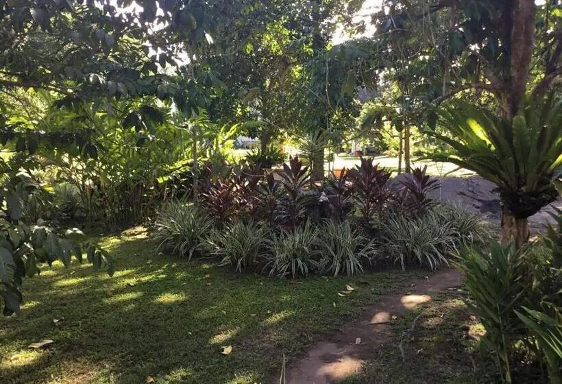 デラックススタジオ, Camiguin Lanzones Resort