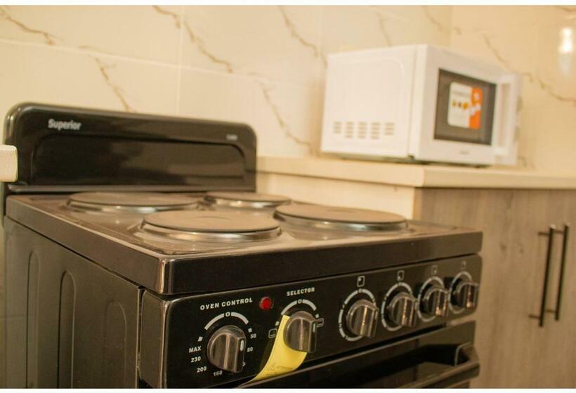 آپارتمان 2 خوابه, R Executive Apartments