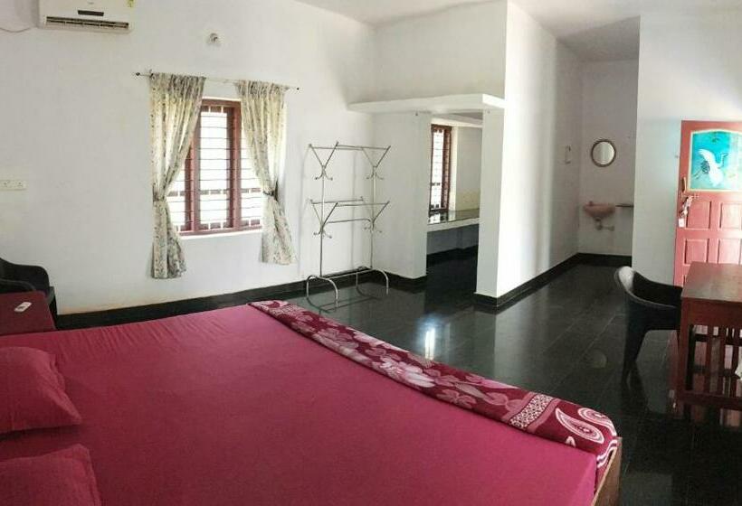 غرفة قياسية, Secret Paradise